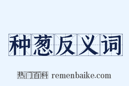 种葱反义词是什么意思的图片